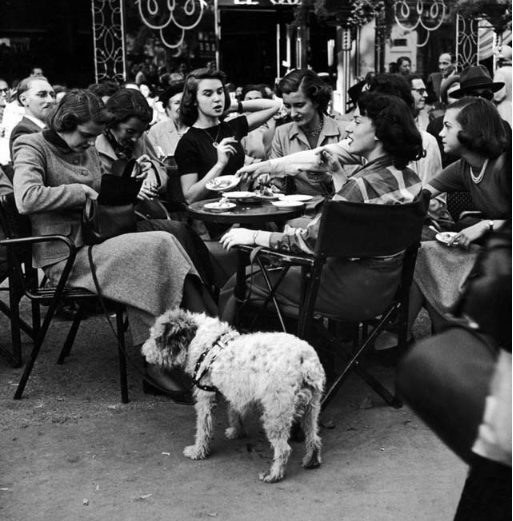 35 instantanés en noir et blanc qui montrent les filles parisiennes des années 1950 ‎_ nan